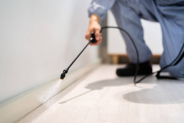 Licensed Cockroach Control service in Port Huron, MI - Nex Pest Control