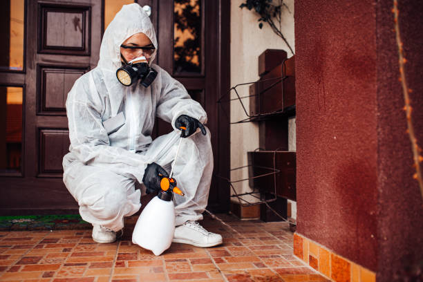 Reliable Cockroach Control contractor in Port Huron, MI by Nex Pest Control